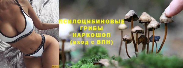 спайс Алексин