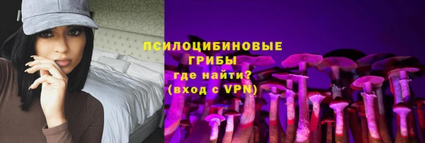 твердый Алексеевка