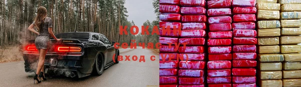 твердый Алексеевка
