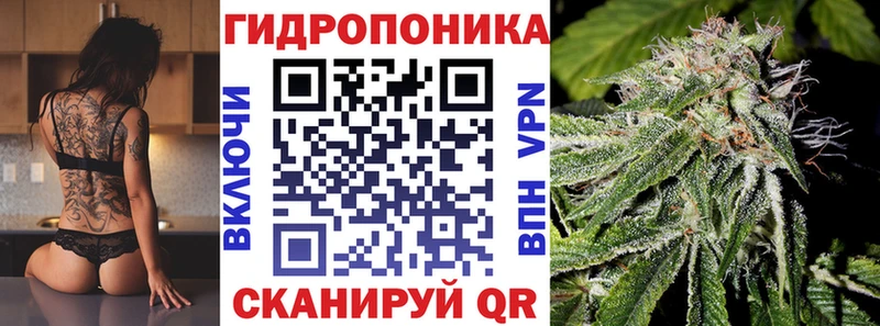 дарнет шоп Боровичи mega маркетплейс Марихуана конопля